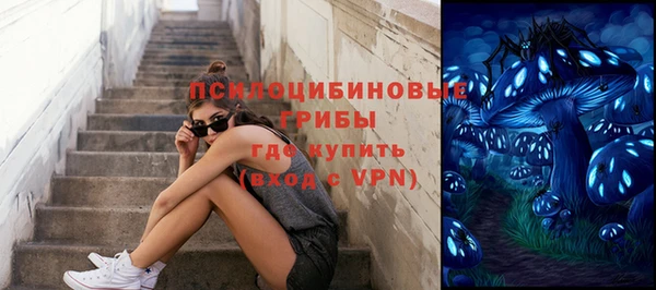 apvp Аркадак