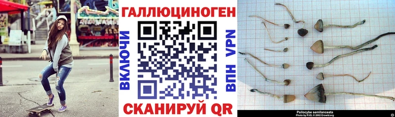 мега вход  Озёры  Псилоцибиновые грибы ЛСД 