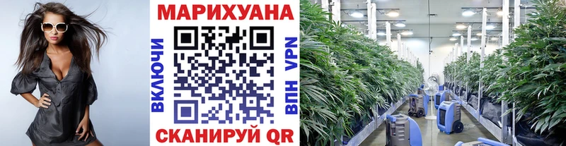 ОМГ ОМГ как зайти  Озёры  Конопля Bruce Banner 